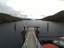 ./images/calvert/dock/20171125/dock20171125_105501.jpg
