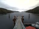 ./images/calvert/dock/20171125/dock20171125_110502.jpg