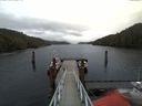./images/calvert/dock/20171125/dock20171125_115004.jpg