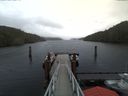 ./images/calvert/dock/20171125/dock20171125_122502.jpg