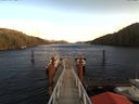./images/calvert/dock/20171126/dock20171126_133502.jpg