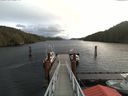 ./images/calvert/dock/20171127/dock20171127_111002.jpg
