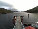 ./images/calvert/dock/20171127/dock20171127_113004.jpg