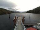 ./images/calvert/dock/20171127/dock20171127_114504.jpg