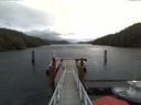./images/calvert/dock/20171127/dock20171127_115502.jpg