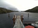 ./images/calvert/dock/20171127/dock20171127_121504.jpg