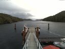 ./images/calvert/dock/20171127/dock20171127_122002.jpg