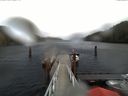 ./images/calvert/dock/20171129/dock20171129_124502.jpg