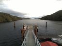 ./images/calvert/dock/20171130/dock20171130_131004.jpg