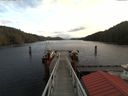 ./images/calvert/dock/20171201/dock20171201_115004.jpg