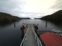 ./images/calvert/dock/20171205/dock20171205_125503.jpg