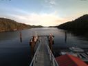 ./images/calvert/dock/20171208/dock20171208_140004.jpg