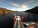 ./images/calvert/dock/20171225/dock20171225_124504.jpg