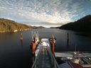 ./images/calvert/dock/20171225/dock20171225_135504.jpg