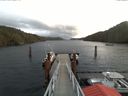 ./images/calvert/dock/20171228/dock20171228_113504.jpg