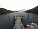 ./images/calvert/dock/20171228/dock20171228_125001.jpg