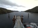 ./images/calvert/dock/20171228/dock20171228_134002.jpg