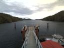 ./images/calvert/dock/20171229/dock20171229_114502.jpg