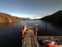 ./images/calvert/dock/20171230/dock20171230_134504.jpg