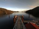 ./images/calvert/dock/20180101/dock20180101_135004.jpg