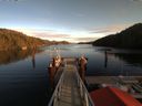 ./images/calvert/dock/20180101/dock20180101_141004.jpg
