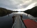./images/calvert/dock/20180102/dock20180102_120503.jpg