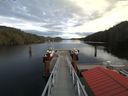 ./images/calvert/dock/20180102/dock20180102_132504.jpg