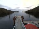 ./images/calvert/dock/20180103/dock20180103_155504.jpg