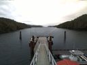 ./images/calvert/dock/20180105/dock20180105_111502.jpg