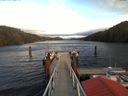./images/calvert/dock/20180107/dock20180107_152502.jpg