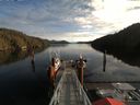./images/calvert/dock/20180109/dock20180109_114504.jpg