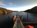 ./images/calvert/dock/20180110/dock20180110_113504.jpg
