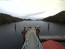 ./images/calvert/dock/20180112/dock20180112_114004.jpg