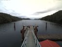 ./images/calvert/dock/20180112/dock20180112_121504.jpg