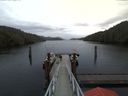 ./images/calvert/dock/20180112/dock20180112_132003.jpg