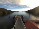 ./images/calvert/dock/20180114/dock20180114_104502.jpg