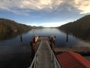./images/calvert/dock/20180114/dock20180114_121504.jpg