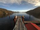 ./images/calvert/dock/20180114/dock20180114_122504.jpg