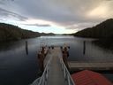 ./images/calvert/dock/20180115/dock20180115_142504.jpg