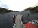 ./images/calvert/dock/20180117/dock20180117_095501.jpg