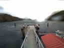 ./images/calvert/dock/20180117/dock20180117_120003.jpg