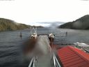 ./images/calvert/dock/20180117/dock20180117_130504.jpg