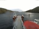 ./images/calvert/dock/20180117/dock20180117_143504.jpg