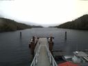 ./images/calvert/dock/20180120/dock20180120_100503.jpg