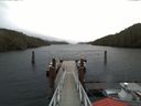 ./images/calvert/dock/20180120/dock20180120_101001.jpg