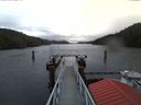 ./images/calvert/dock/20180121/dock20180121_153504.jpg