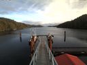 ./images/calvert/dock/20180122/dock20180122_135504.jpg