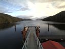 ./images/calvert/dock/20180122/dock20180122_140004.jpg