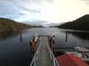 ./images/calvert/dock/20180122/dock20180122_141003.jpg