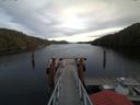./images/calvert/dock/20180124/dock20180124_154001.jpg